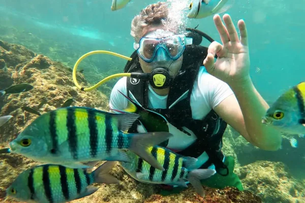 diving-in-kish-1 غواصی کیش